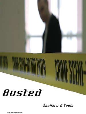 cover image of Busted